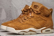 Jordan 6-042